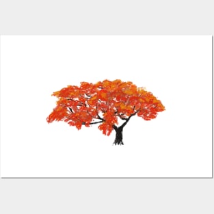 Abstract Flamboyant tree Posters and Art